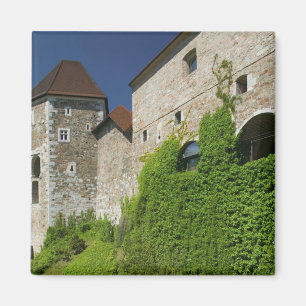 SLOVENIA, Ljubljana: Castle Hill / Ljubljana Magnet