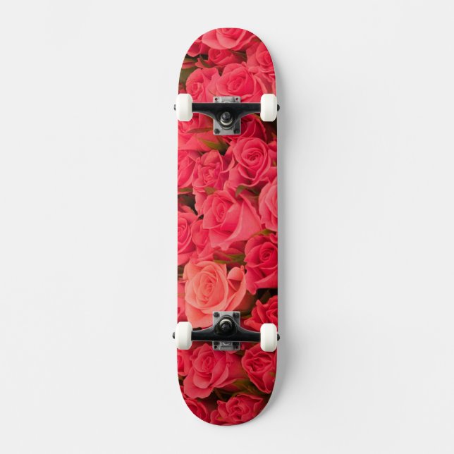 SLOVENIA, Ljubljana: Ljubljana Public Market / Skateboard (Front)