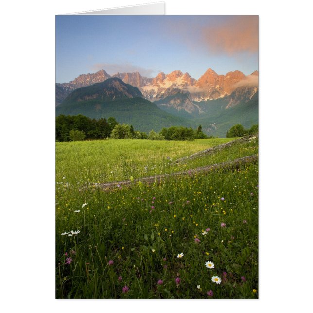 Slovenia Meadow (Front)