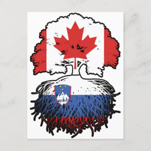 Slovenia Slovenian Canadian Canada Tree Roots Flag Postcard