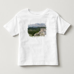 SLOVENIA, STAJERSKA Styria), Celje: Town View Toddler T-Shirt