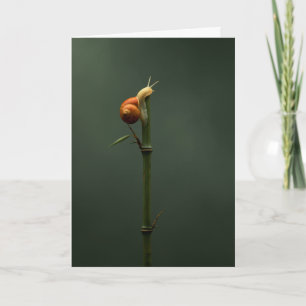 Slow and Steady Bamboo Climber Card