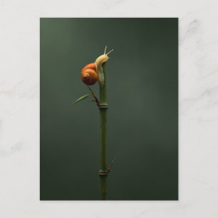 Slow and Steady Bamboo Climber Postcard
