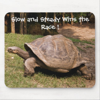 Slow and Steady Turtle Mouse Pad