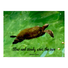 Slow and steady wins the race