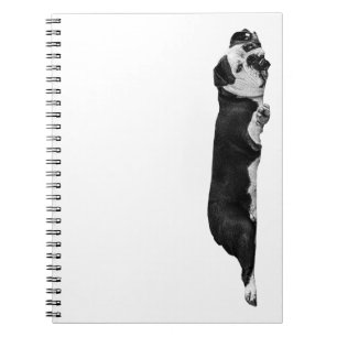 Slow Day Notes Notebook