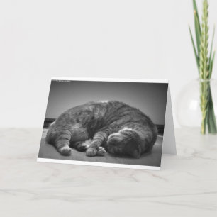 Slow Days, card