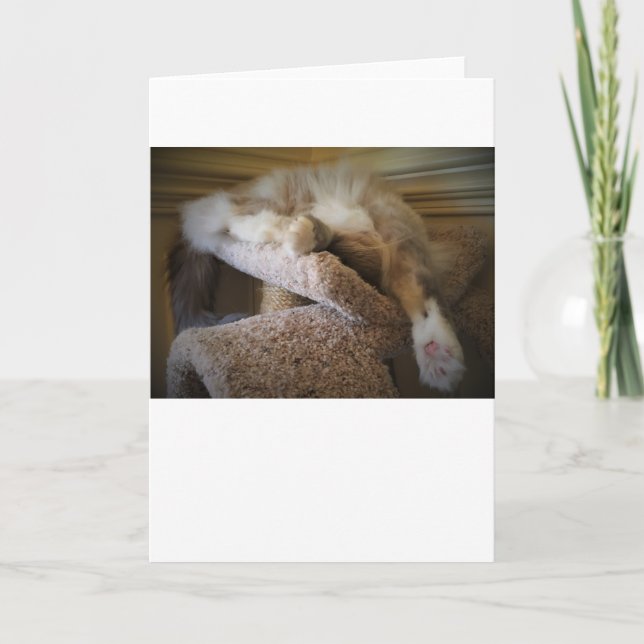 Slow Days, card (Front)