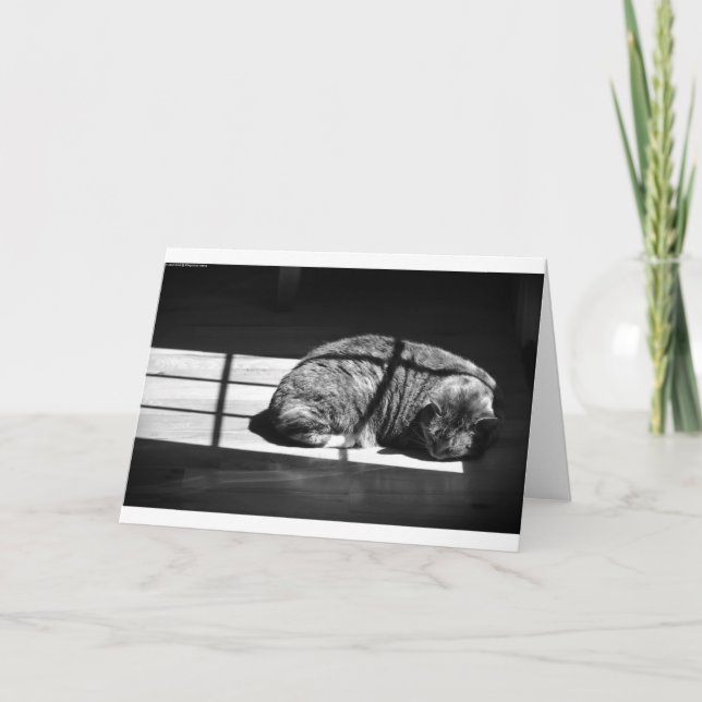 Slow Days, card (Front)