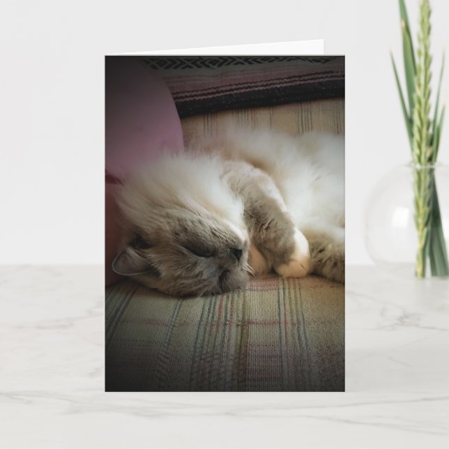 Slow Days, card (Front)