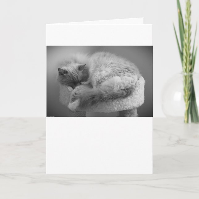 Slow Days, card (Front)