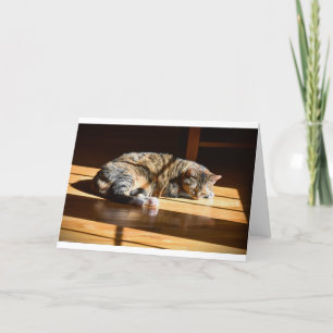 Slow Days, card