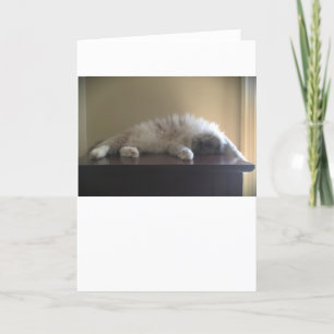 Slow Days, card
