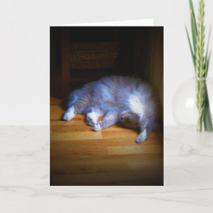 Slow Days, card