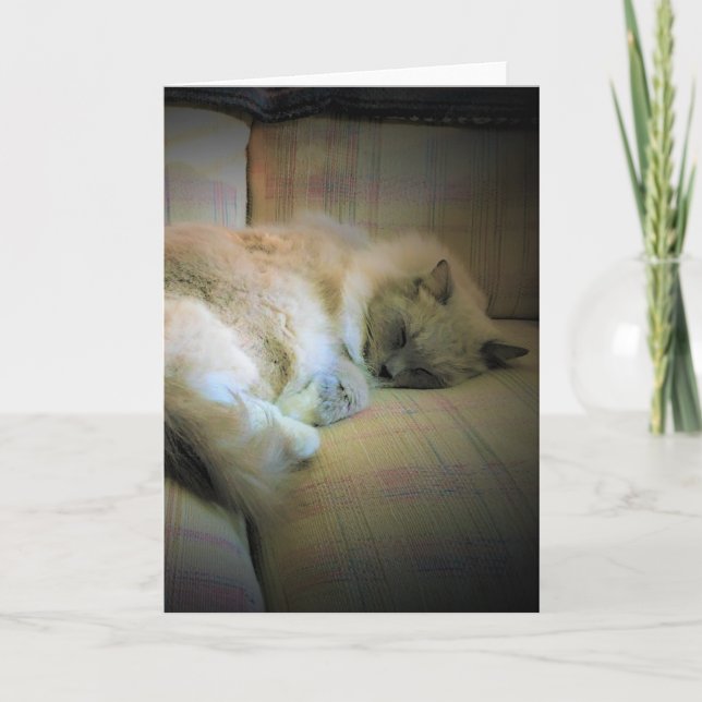 Slow Days, card (Front)