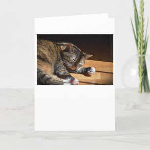 Slow Days, card