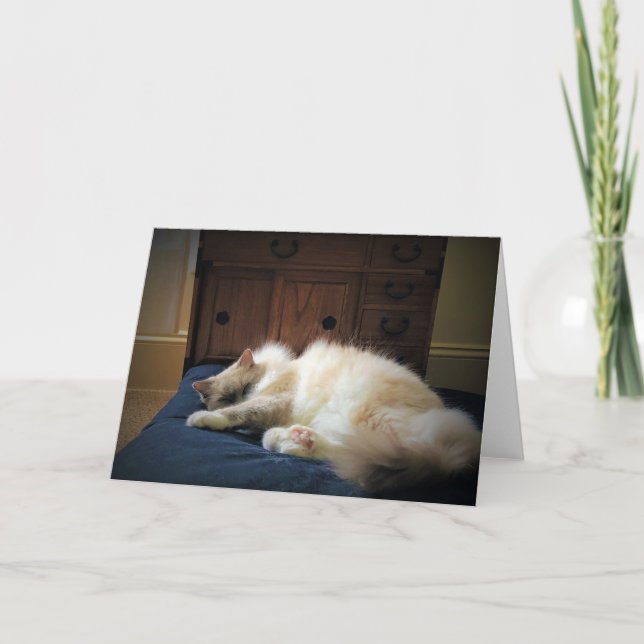 Slow Days, card (Front)