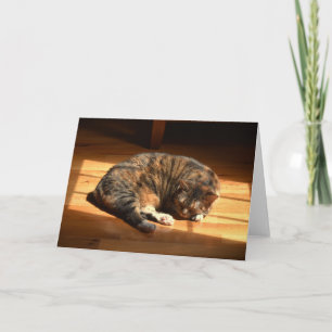 Slow Days, card