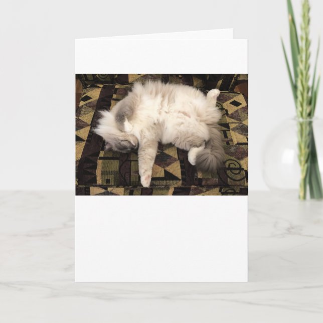 Slow Days, card (Front)