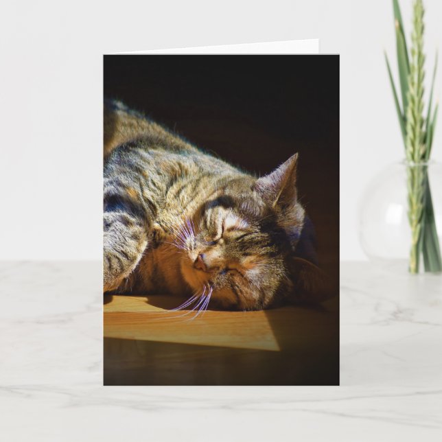 Slow Days, card (Front)