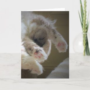 Slow Days, card