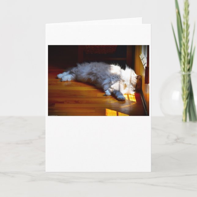 Slow Days, card (Front)