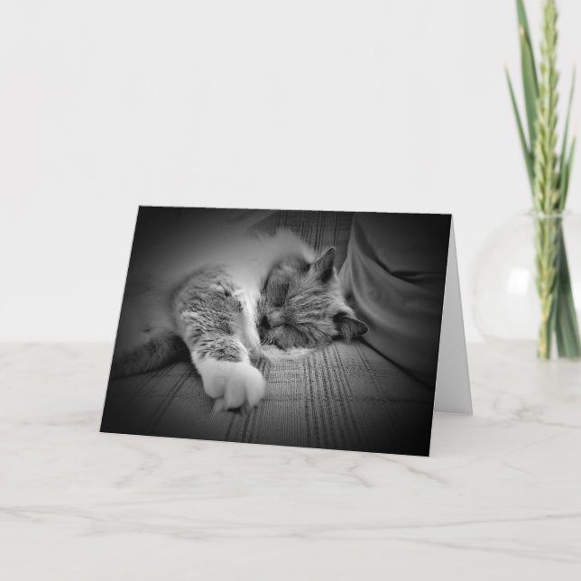 Slow Days, card (Front)