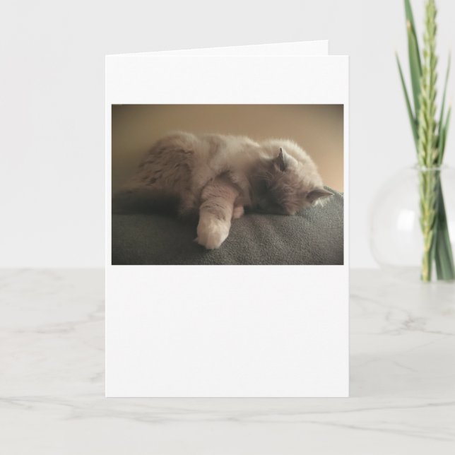 Slow Days, card (Front)