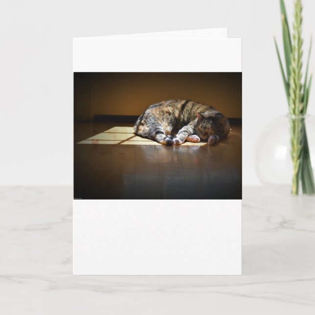 Slow Days, card (Front)