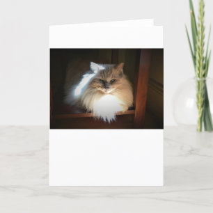 Slow Days, card