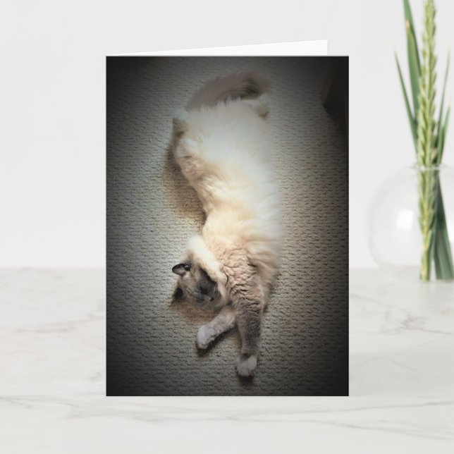 Slow Days, card (Front)