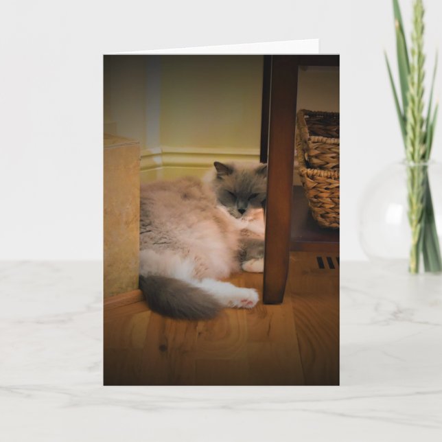 Slow Days, card (Front)