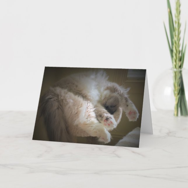 Slow Days, card (Front)