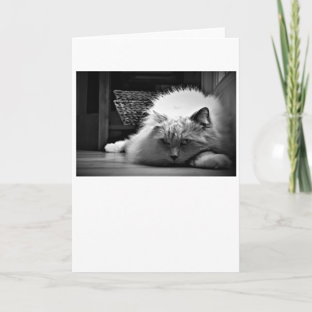 Slow Days, card (Front)