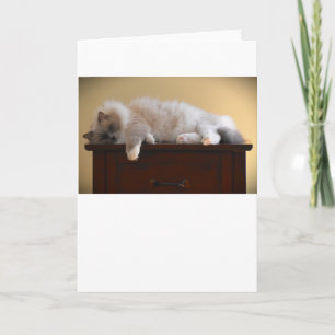 Slow Days, card