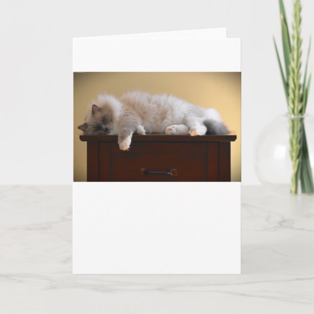 Slow Days, card (Front)