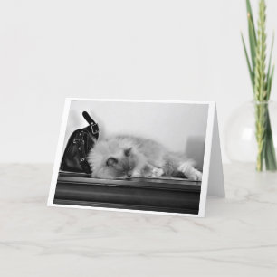Slow Days, card