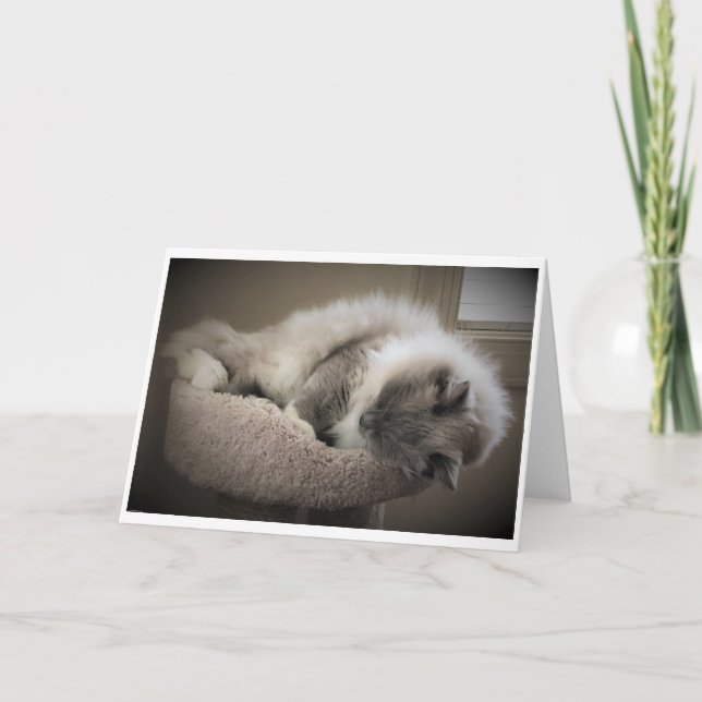 Slow Days, card (Front)