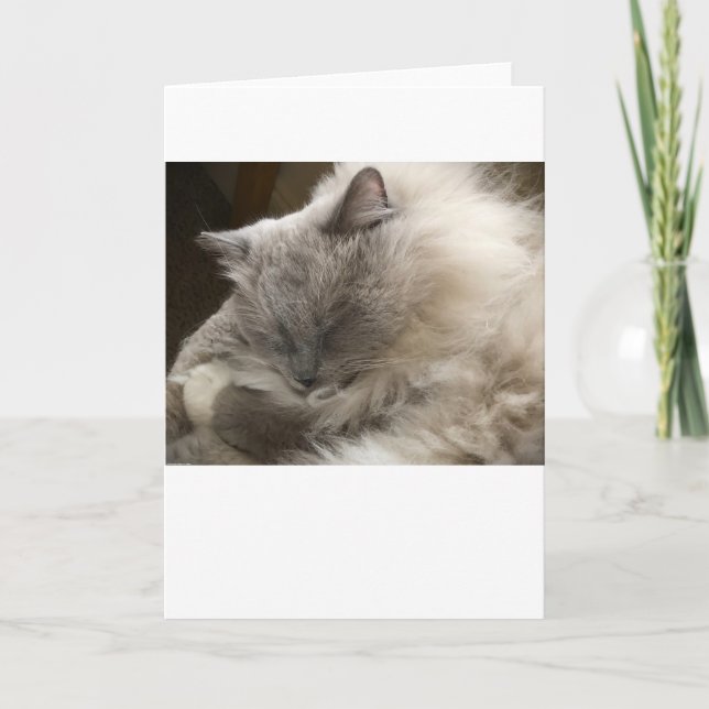 Slow Days, card (Front)