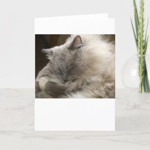 Slow Days, card