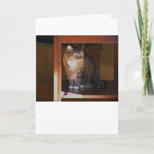 Slow Days, card