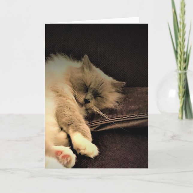 Slow Days, card (Front)