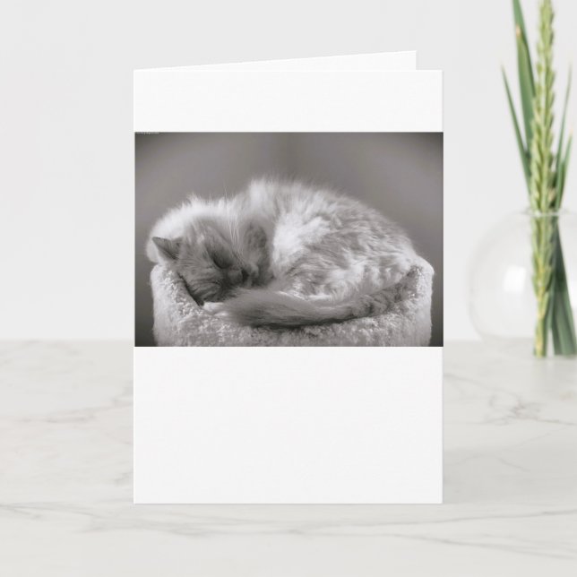 Slow Days, card (Front)