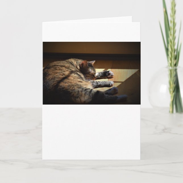 Slow Days, card (Front)