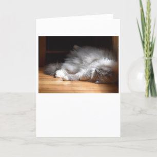 Slow Days, card