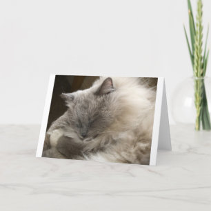 Slow Days, card