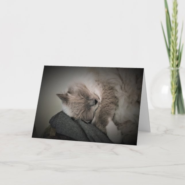 Slow Days, card (Front)