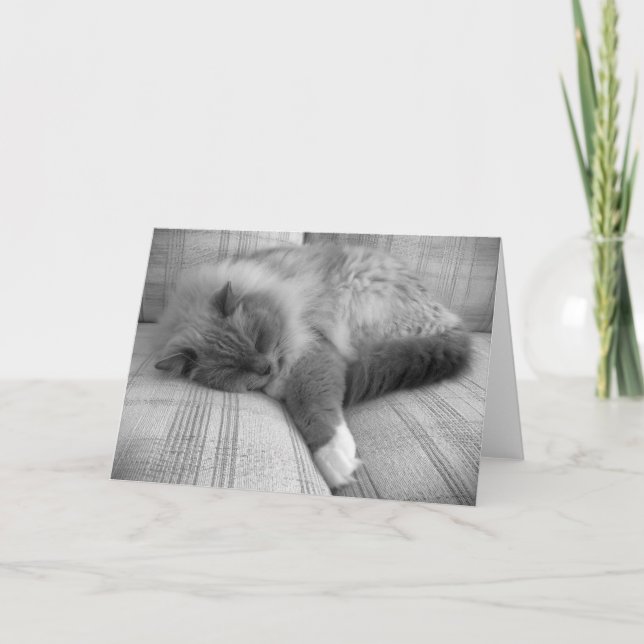 Slow Days, card (Front)