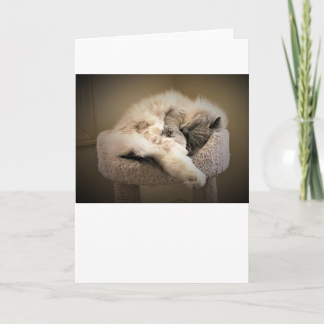 Slow Days, card (Front)