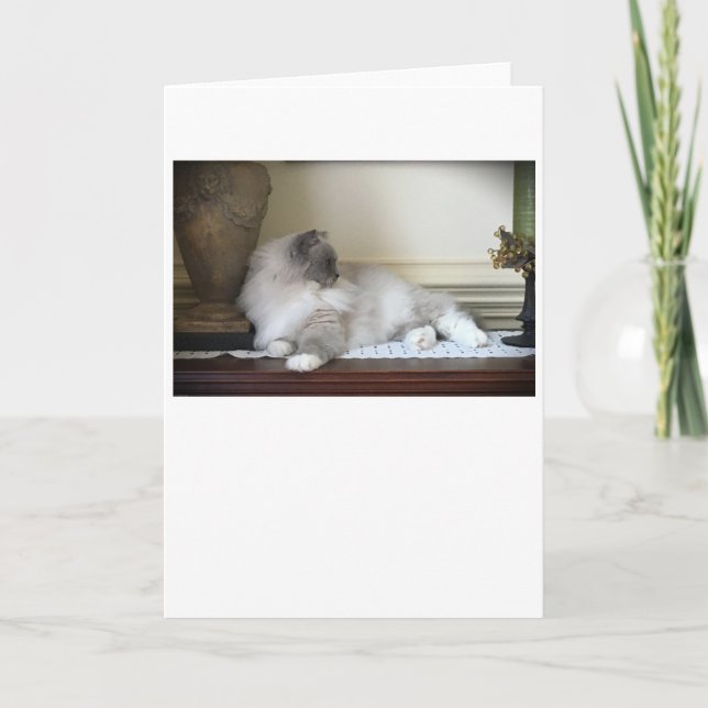 Slow Days, card (Front)